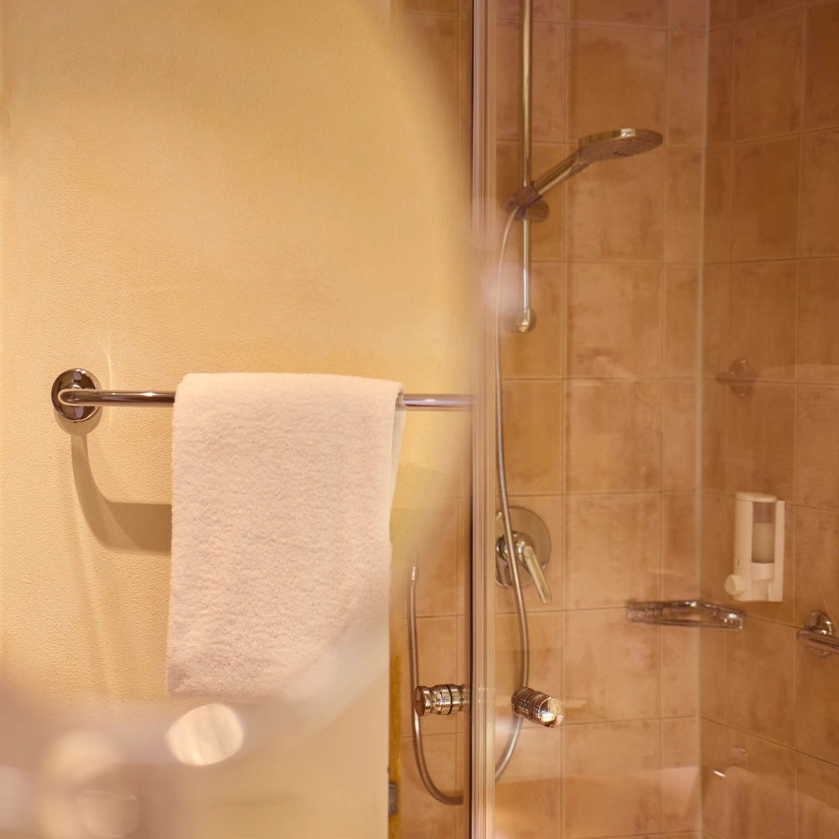 hotel-watthalden-watthaldenzimmer06 Blick in ein Watthaldenzimmer mit Badezimmer, Dusche und Handtuchhalter.